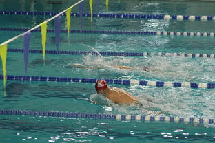 开云体育下载-全国公开水域游泳赛长江赛段人气爆棚