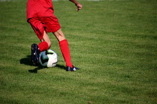 开云体育app下载-篮球运动员专项技能训练课程体系创新探索，篮球专项训练方案